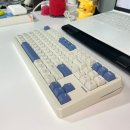 몽돌 | 조약돌 키보드 SPM PL87W 몽돌 텐키리스 후기