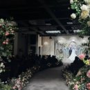Wedding EP3. 베리굿 웨딩플래너 계약하고 스드메 견적 공유, 스드메 예산 관리 (세미앙, 더화이트...