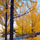 웰리치공인중개사사무소 이미지