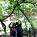 승미황소곱창 이미지