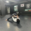 본주짓수동춘 네이버블로그