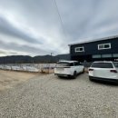 퍼스트 독 스쿨 이미지