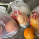 라이브유디