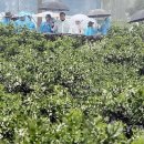 신효동-21 이미지