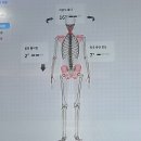 동재 | 부산 재활PT 추천 | 동래 리호운동재활센터 1:1 맞춤 재활 솔직 후기