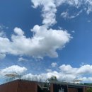 가평남이섬리알토스파수영장가족펜션 이미지