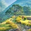 7월20일 Summer Hunting 유럽식 고개마루&amp;상동이끼계곡 초록 세상속 워라벨 출사 이미지