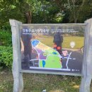 도시농업으로 힐링하기 이미지