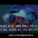 와들와들
