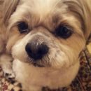 나와놀개 이미지