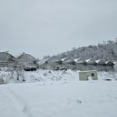 클로버농장 이미지