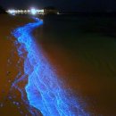 에메랄드 이미지