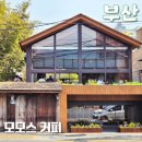 전주연 | 부산 모모스커피 본점 세계 100대 커피숍 2026 선정 야외테라스 봄풍경 후기