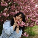 네일오브예즈