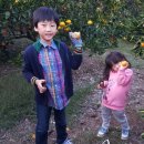 민제농장 이미지