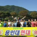 용인대현대태권도 이미지