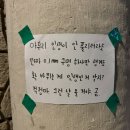 브라키오 일상 식단 운동 도수치료받고 밥해먹기 끝없는 소비 미루지 말아야 하는것
