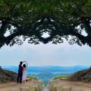 산성2(별티) | 충청도 공주 부여 여행 가볼만한 곳 성흥산성 사랑나무 주차장, 가는 길, 근처 맛집, 인생샷 꿀팁