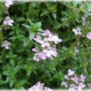 (주)타임넷 이미지