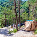 왕피천하늘담 이미지