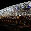2014년 11월 15일 서울 빛초롱축제 이미지