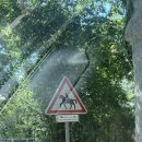 라파엘농장 | 남프랑스 Cassis 에 왔어요💙 Best Western la Rade 호텔 후기