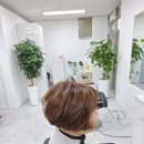 쎄븐미용실 네이버블로그