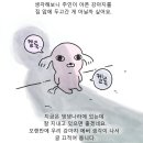 어느날 집앞에 닭 백숙이.. 이미지