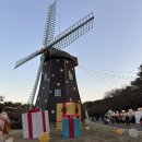 현대자동차수산점 | 울산대공원 울산의밤 크리스마스마켓 방문 후기 야경