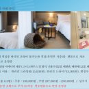 양양이펫 네이버블로그