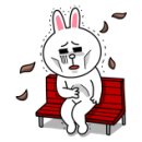 이플동물병원 이미지