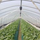 청송상회 이미지