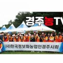 장터1길 이미지