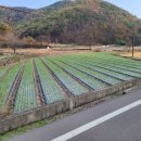 유곡부동산공인중개사사무소 이미지