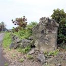 금성리 노인회관 이미지