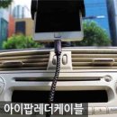 카렉스