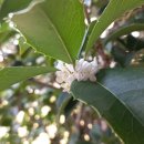 달물인연 이미지