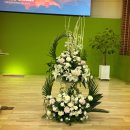 리플라워 이미지