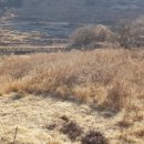 어신보건진료소 이미지