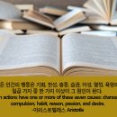 열정인간(PASSION HUMAN)