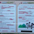 아리아리 숲속의 야영장 이미지