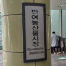 4호선 반여농산물시장역 이미지