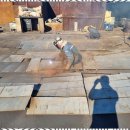 믿음자원 이미지