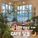 세종대형카페 달뜸 브런치 테라스 루프탑 층별테마포토존맛집 내돈내산솔직후기