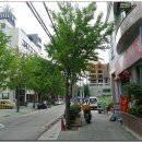 불타는 짜장 이미지