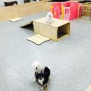카페윤2 이미지