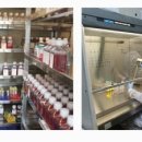 인바이오메드 이미지