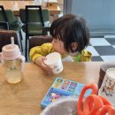 갑오갈비탕 이미지