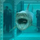 영생약국 | 데이미언 허스트 전시 후기｜국립현대미술관 서울 MMCA