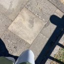 팔공산올레길 6코스 | 제주도 서귀포 트레일 러닝 후기 | 올레길 6코스 산책 겸 러닝 코스 추천 (정방폭포,소정방폭포,칼호텔)